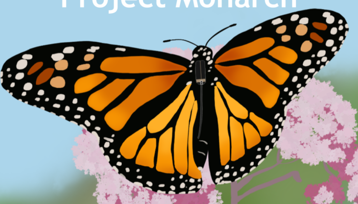 Help Track Monarch Butterflies Across Linn County This Summer