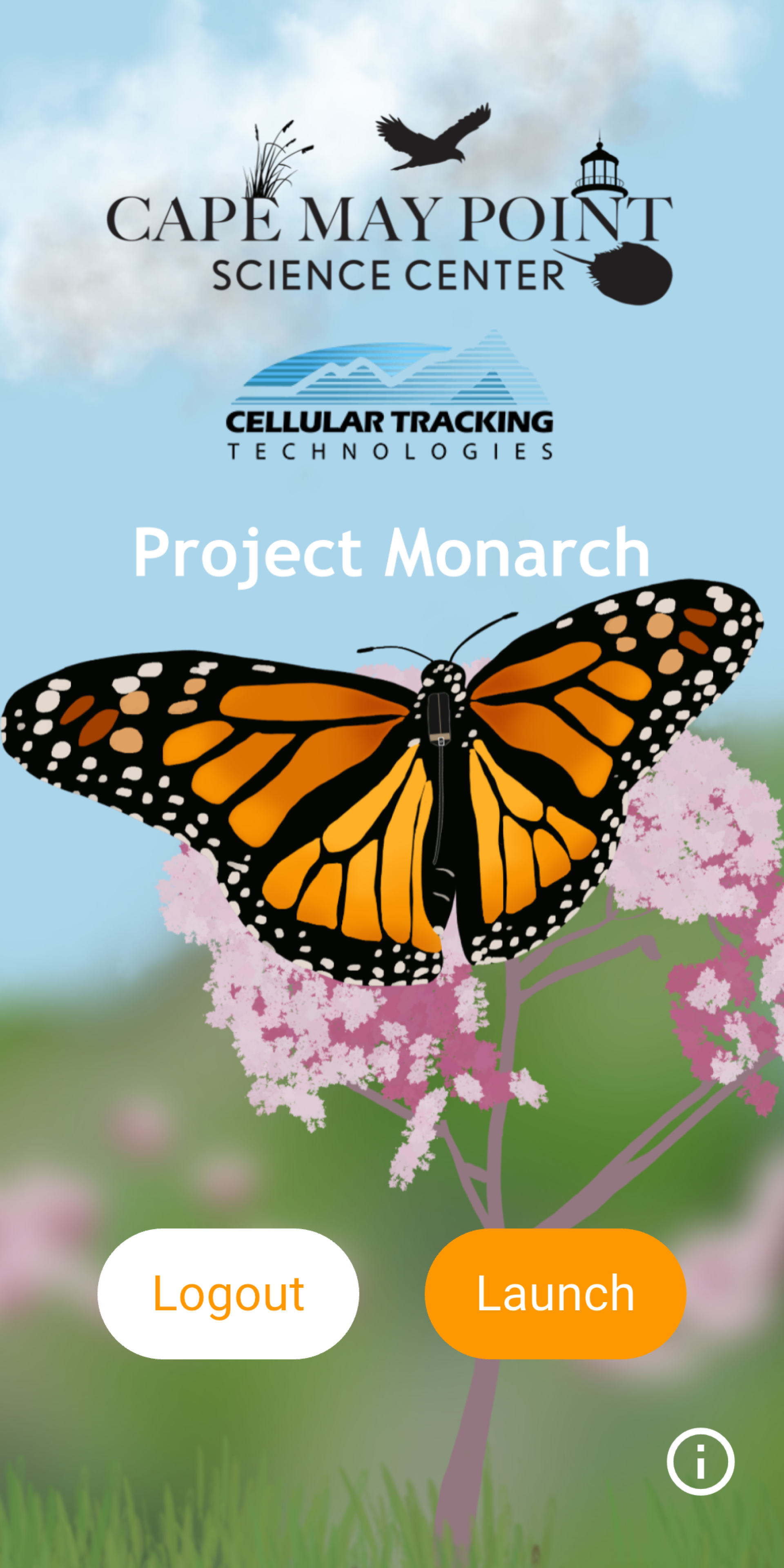 Help Track Monarch Butterflies Across Linn County This Summer