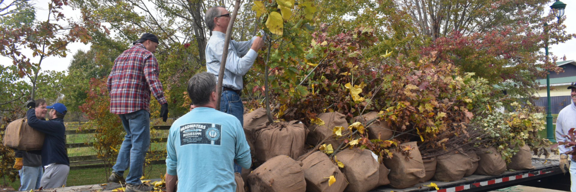 Planting Forward Tree Distribution Guide 2025