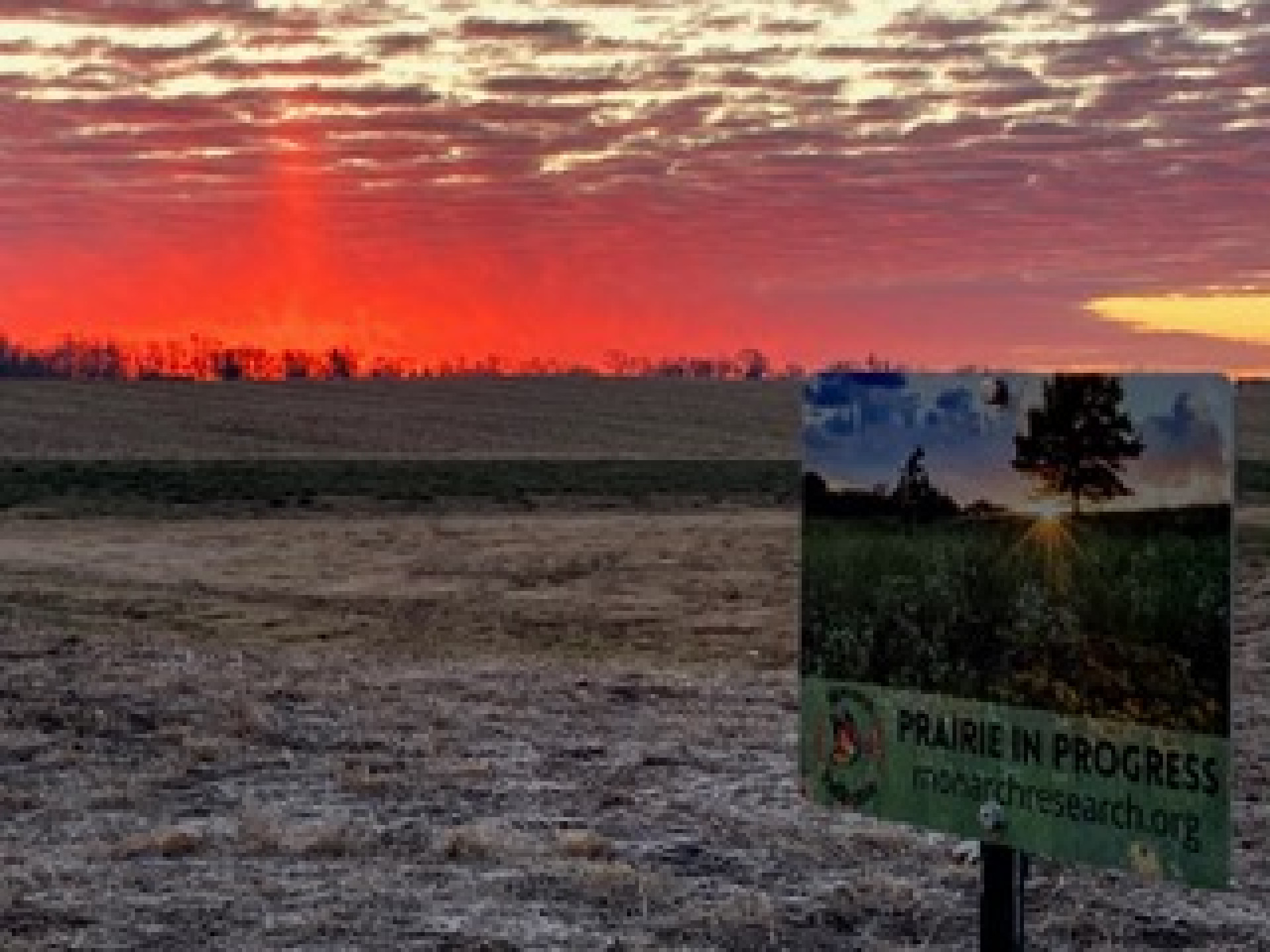 Local Pollinator Zone is ready to GROW!