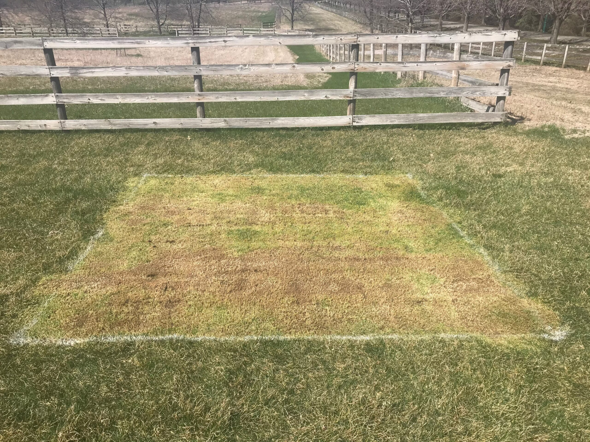 Fall 2020 10X10 Pollinator Zone Test Plots