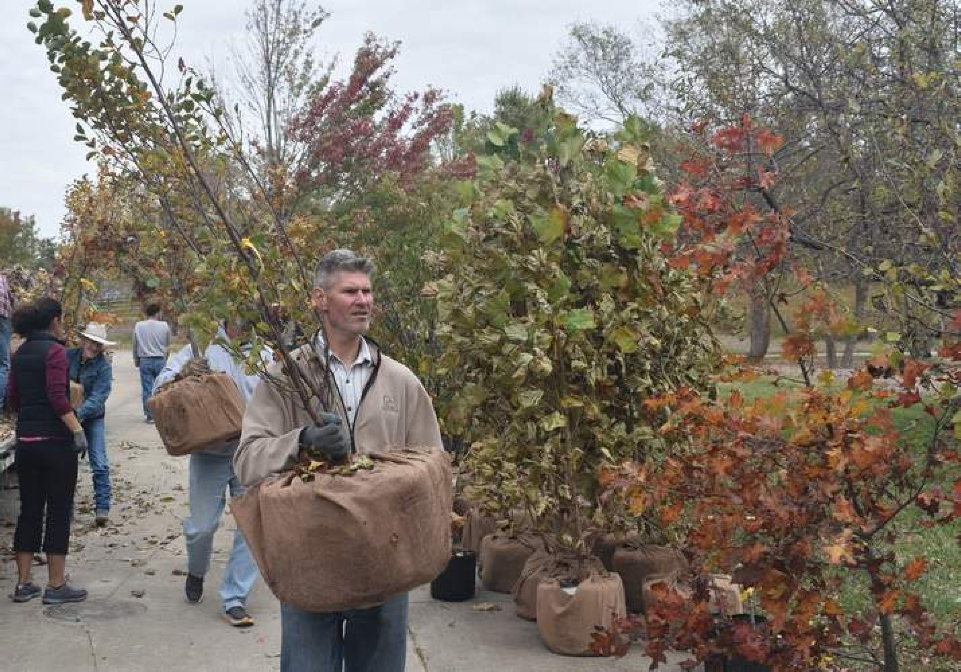 Replanting the landscape: Companies help employees -- and their yards