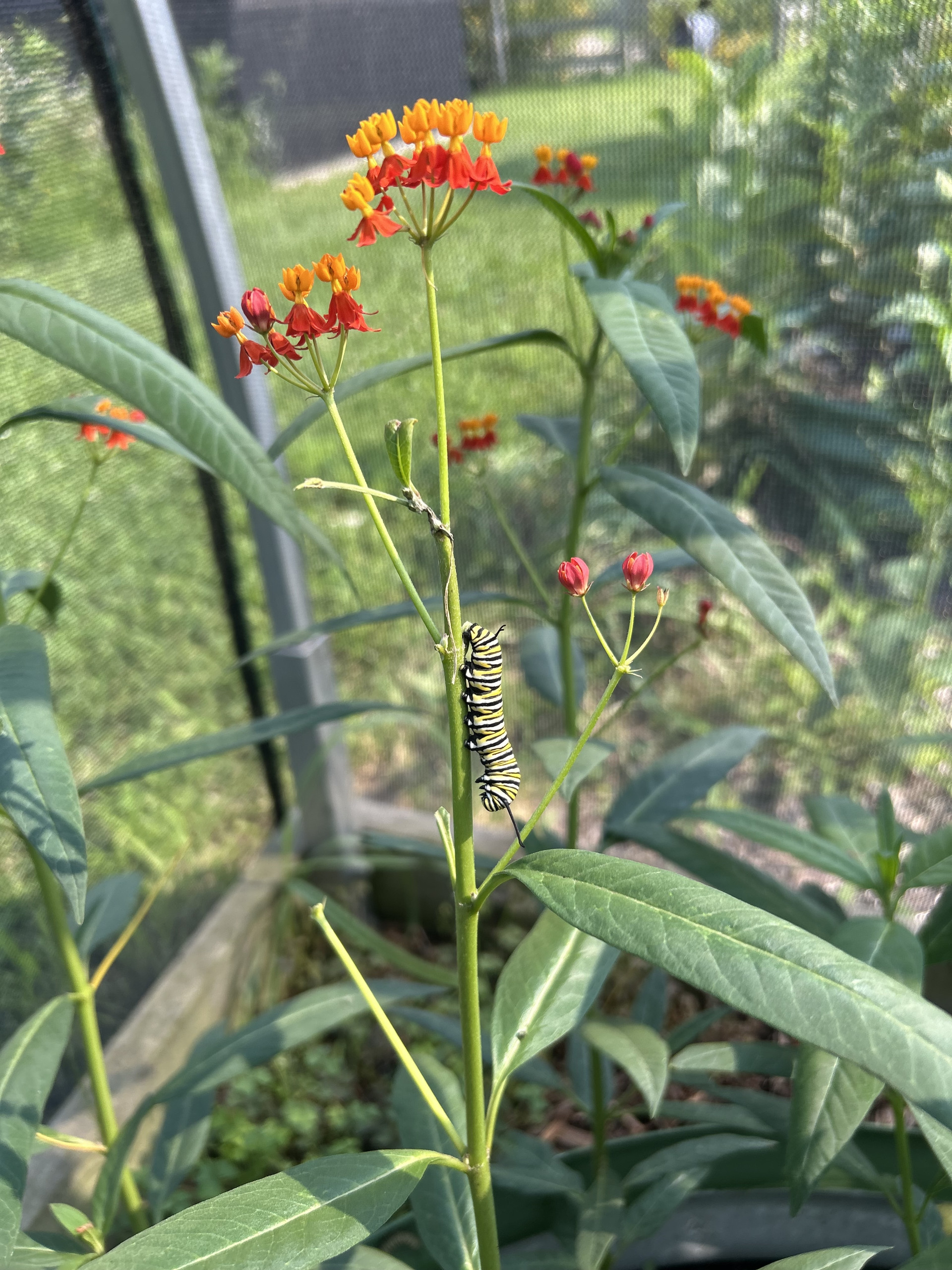 We’re Scaling. And We Need the Right People.