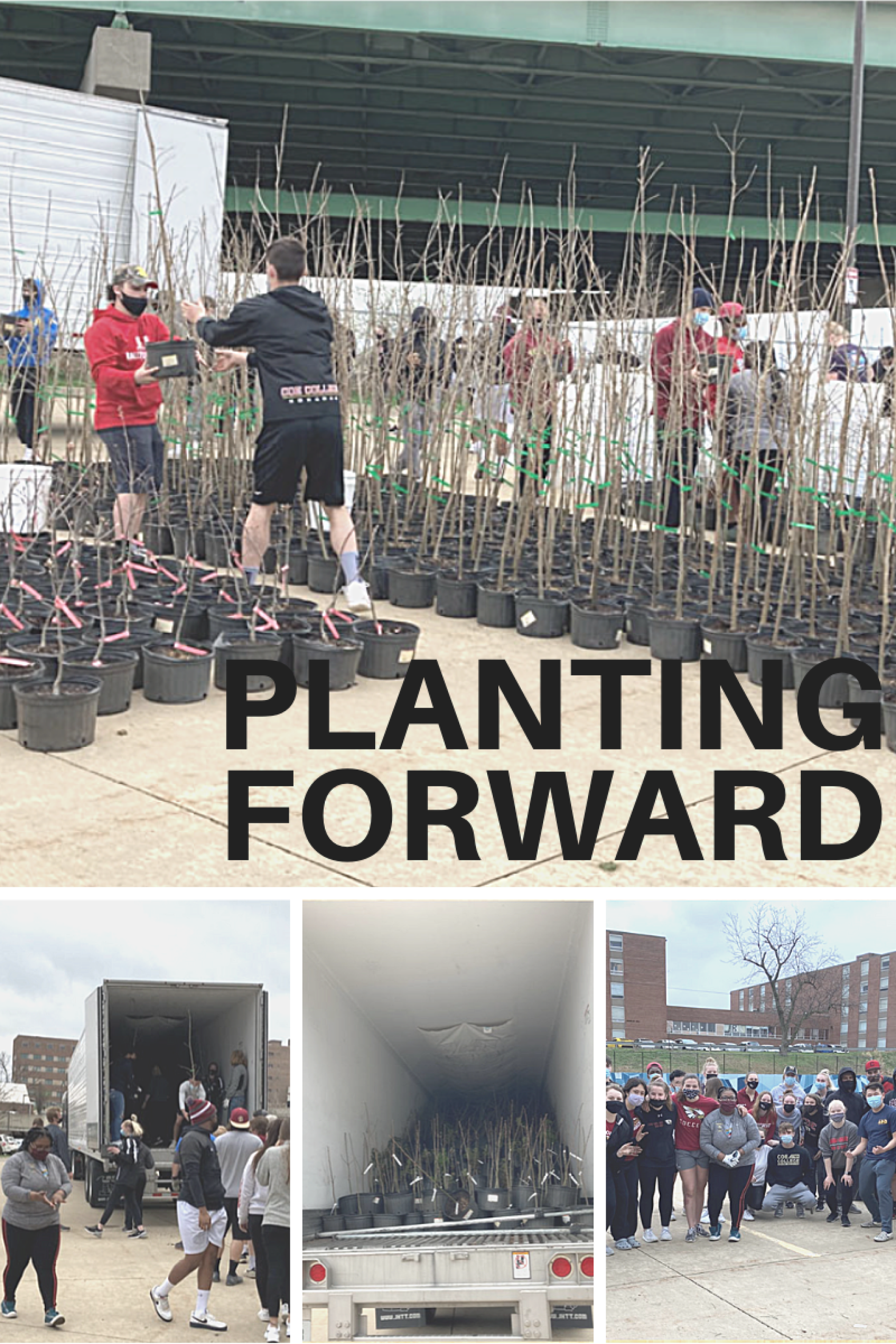 Planting Forward: Spring Recap