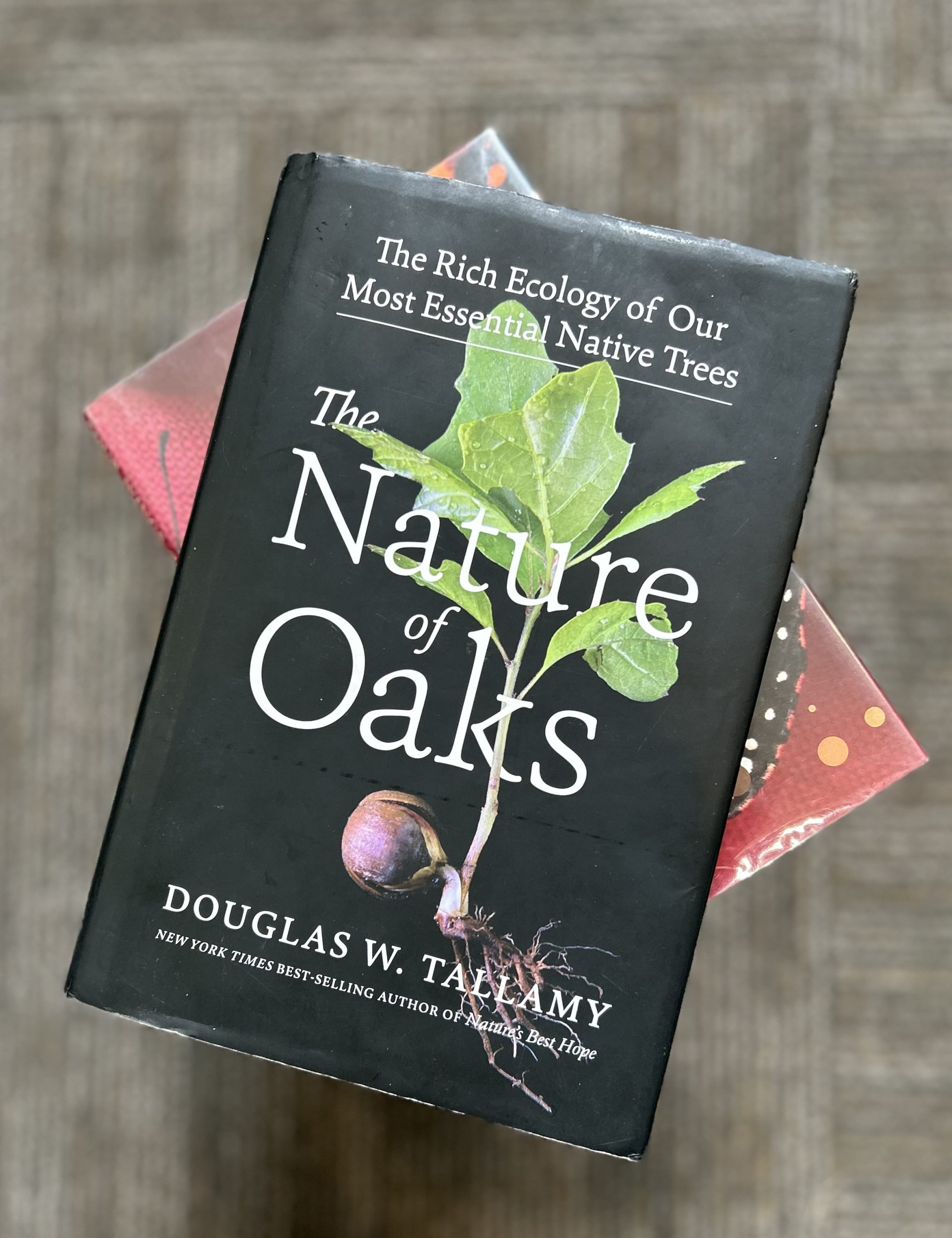 We Have a Book Club!