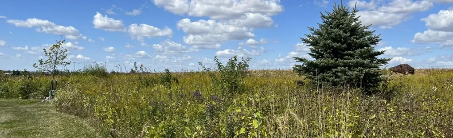 Wrapping Up the 1,000 Mile Pilot