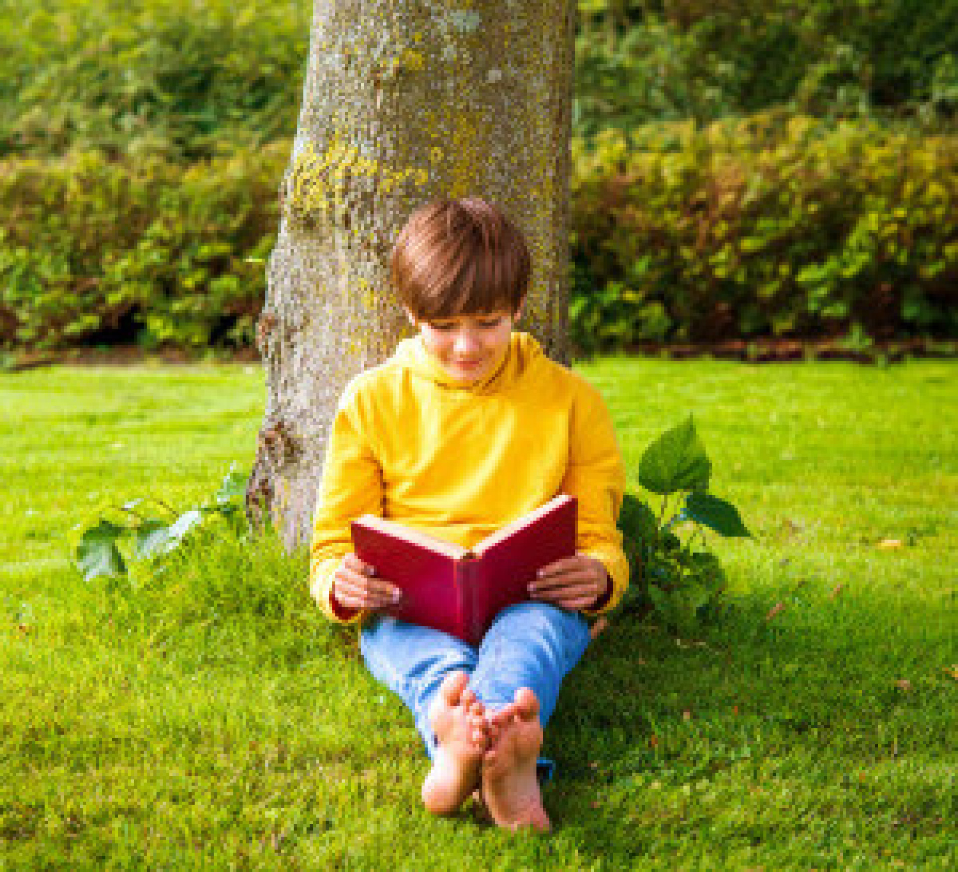 One Child One Tree Program Launches on Arbor Day