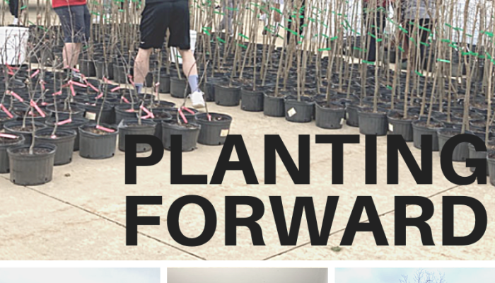 Planting Forward: Spring Recap