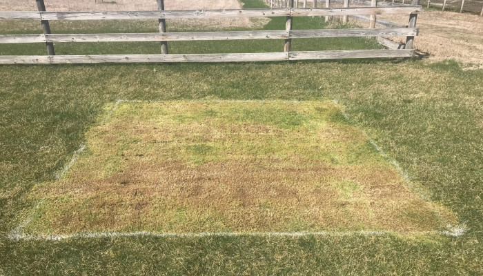 Fall 2020 10X10 Pollinator Zone Test Plots