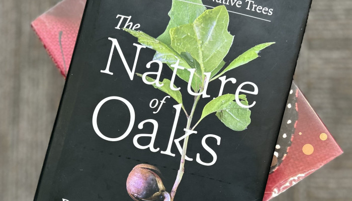 We Have a Book Club!