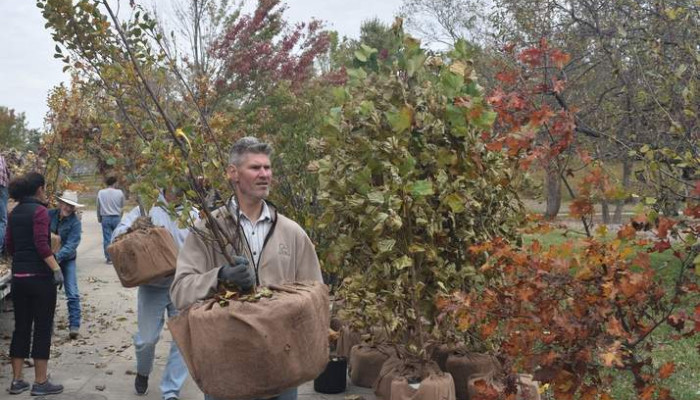 Replanting the landscape: Companies help employees -- and their yards