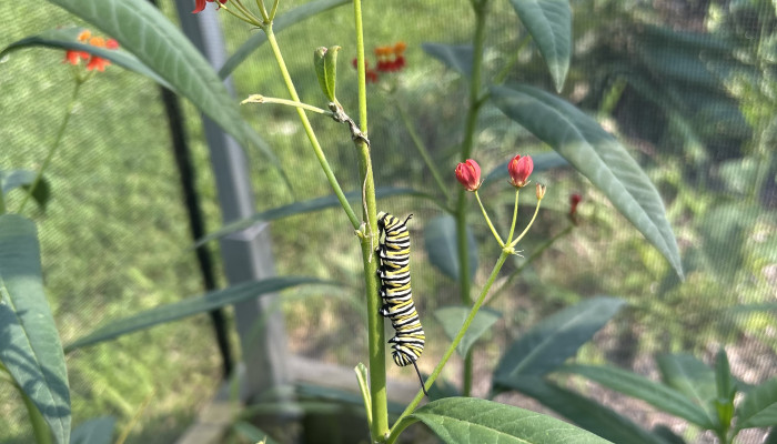 We’re Scaling. And We Need the Right People.