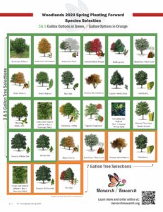woodlands species list