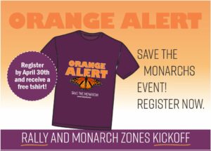 Orange Alert Free Tshirt